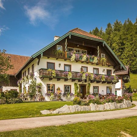 Wohlfuehlbauernhof Bambichlhof Villa Fuschl am See Exterior photo