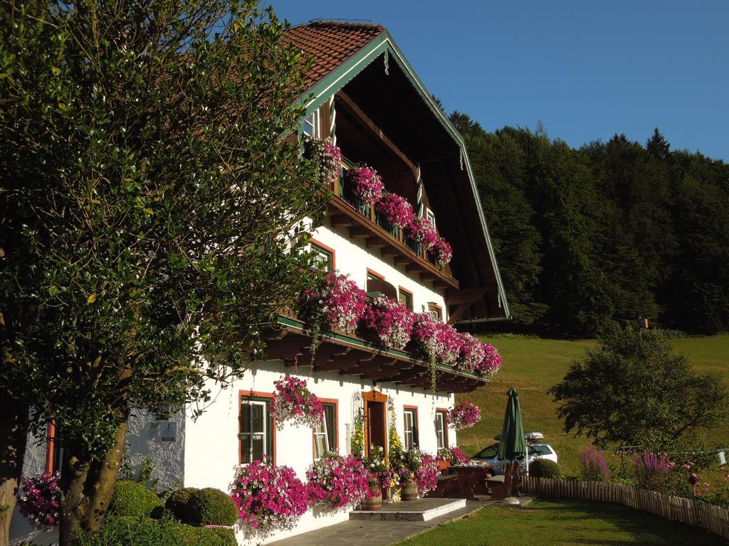 Wohlfuehlbauernhof Bambichlhof Villa Fuschl am See Exterior photo