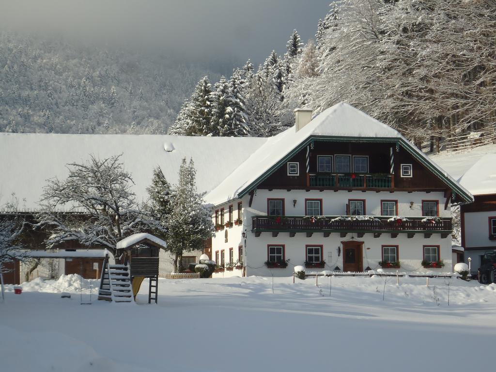Wohlfuehlbauernhof Bambichlhof Villa Fuschl am See Exterior photo