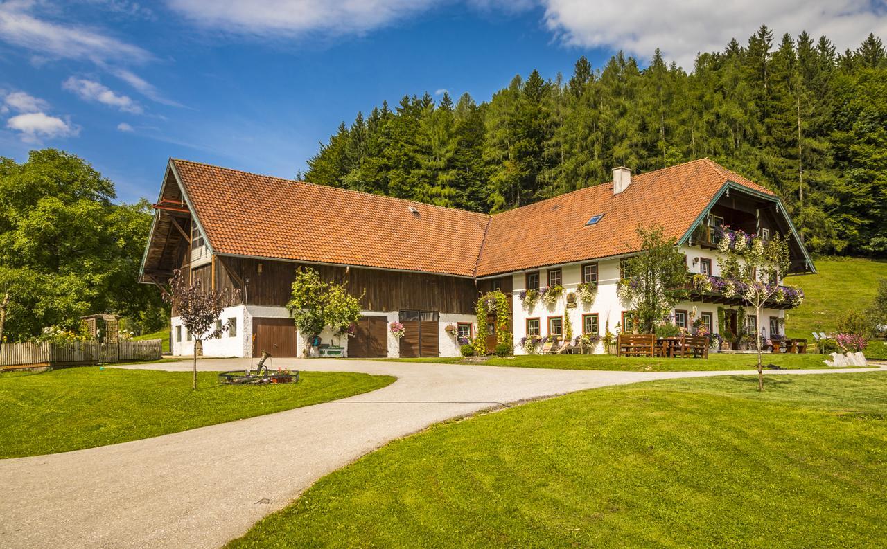 Wohlfuehlbauernhof Bambichlhof Villa Fuschl am See Exterior photo