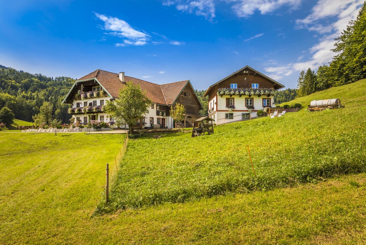 Wohlfuehlbauernhof Bambichlhof Villa Fuschl am See Exterior photo