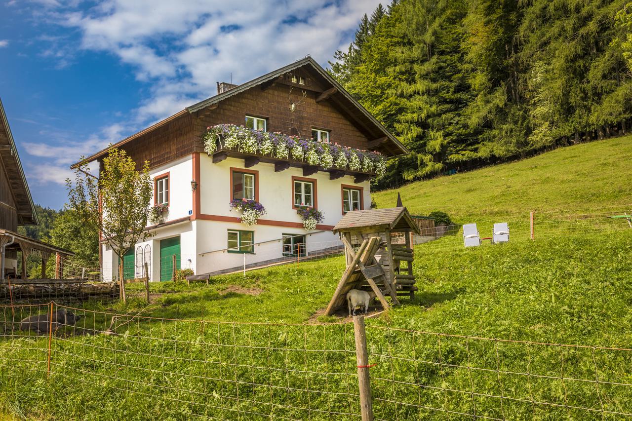 Wohlfuehlbauernhof Bambichlhof Villa Fuschl am See Exterior photo