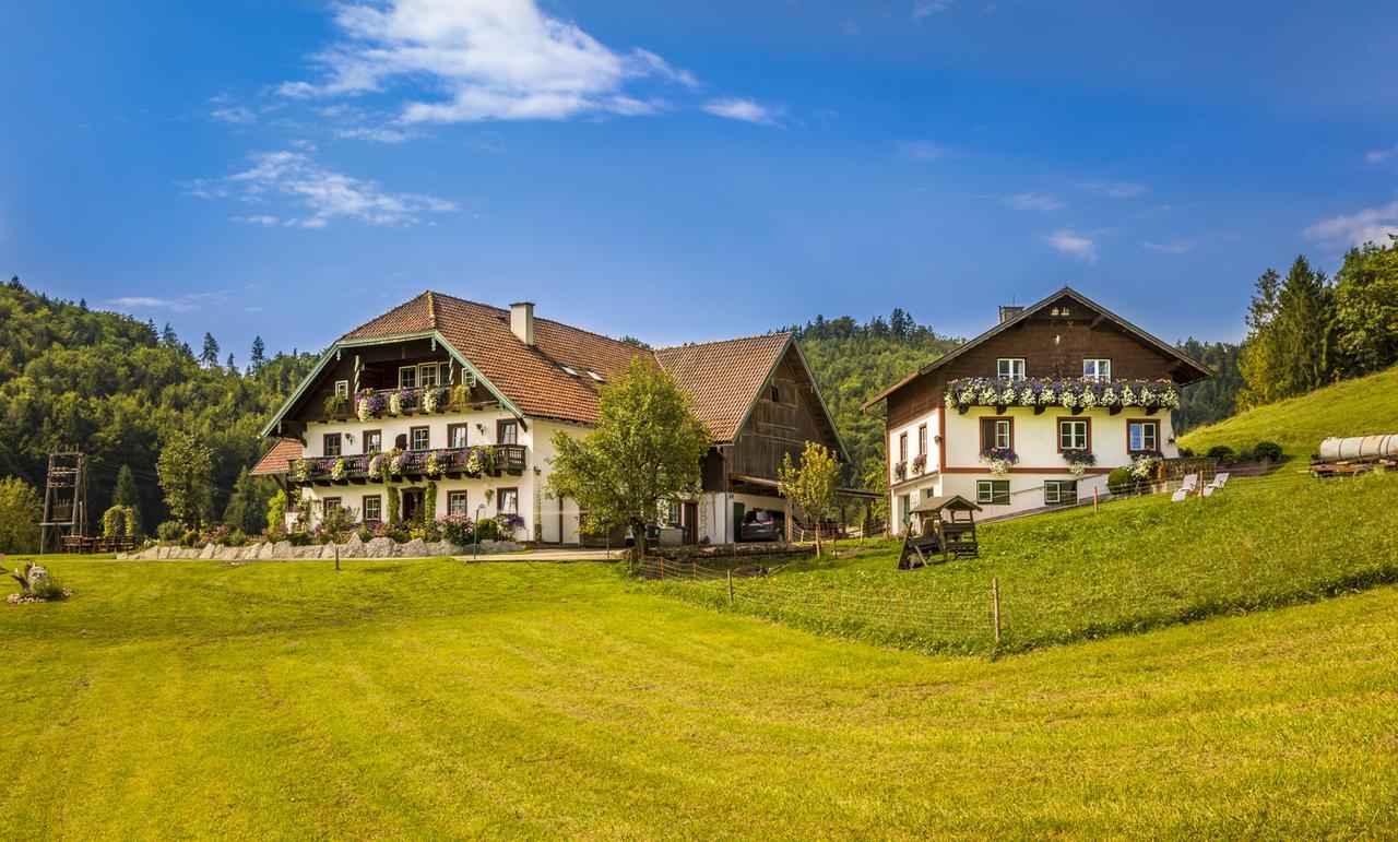 Wohlfuehlbauernhof Bambichlhof Villa Fuschl am See Exterior photo