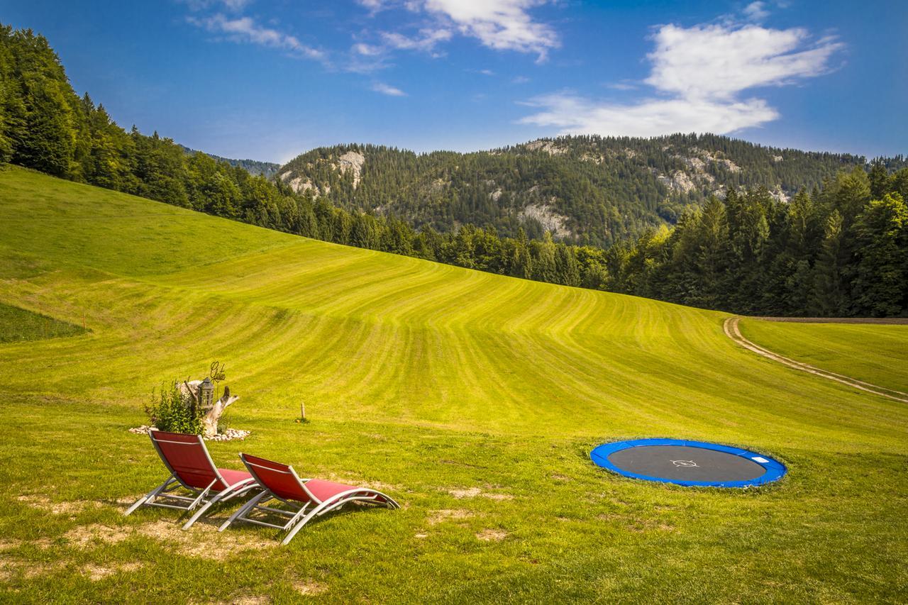 Wohlfuehlbauernhof Bambichlhof Villa Fuschl am See Exterior photo