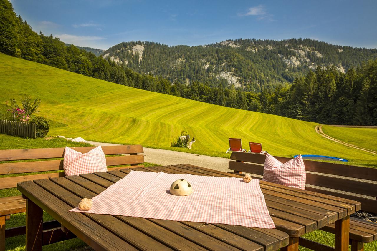 Wohlfuehlbauernhof Bambichlhof Villa Fuschl am See Exterior photo