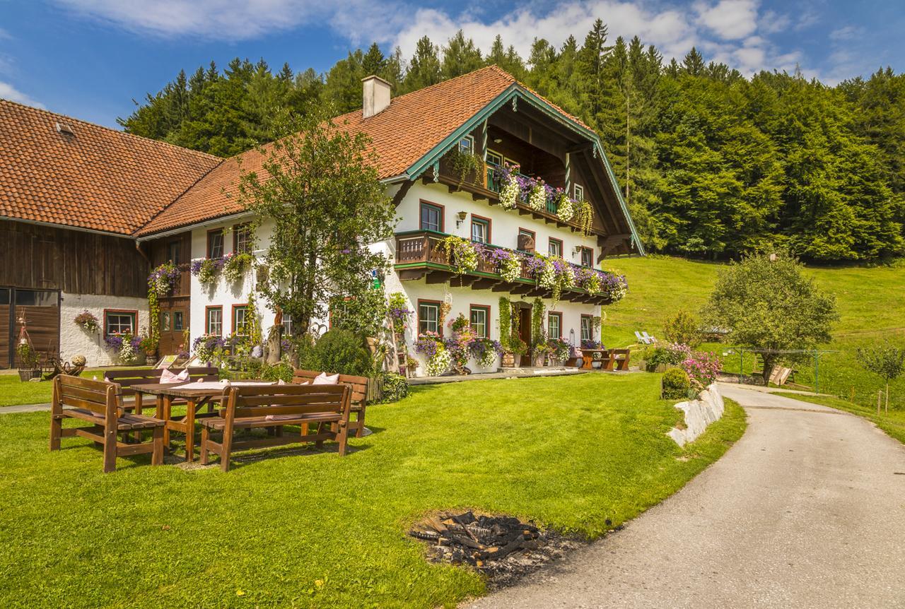 Wohlfuehlbauernhof Bambichlhof Villa Fuschl am See Exterior photo