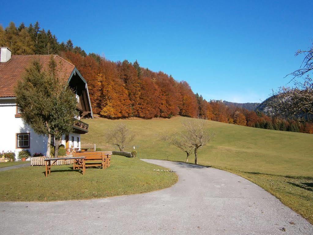 Wohlfuehlbauernhof Bambichlhof Villa Fuschl am See Exterior photo